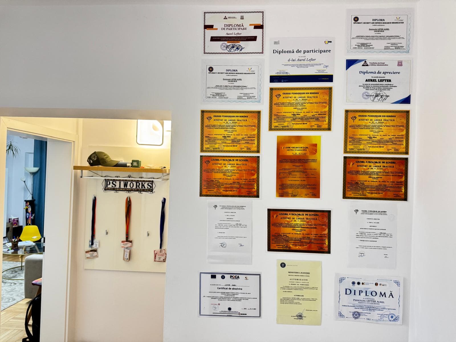 Diplome și atestate profesionale